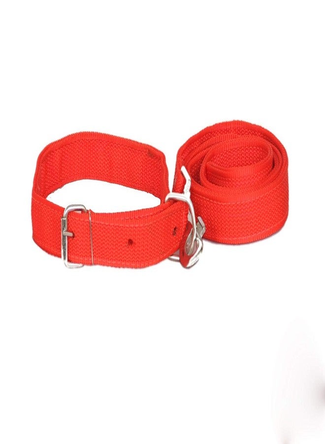 The DDS Store Standard Dog Collar and Leash- Medium Color May Vary - Image 1